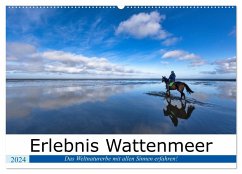Erlebnis Wattenmeer (Wandkalender 2024 DIN A2 quer), CALVENDO Monatskalender - Klesse, Andreas