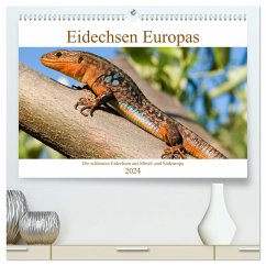 Eidechsen Europas (hochwertiger Premium Wandkalender 2024 DIN A2 quer), Kunstdruck in Hochglanz
