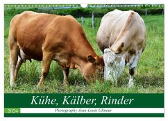 Kühe, Kälber, Rinder (Wandkalender 2024 DIN A3 quer), CALVENDO Monatskalender - Glineur / DeVerviers, Jean-Louis