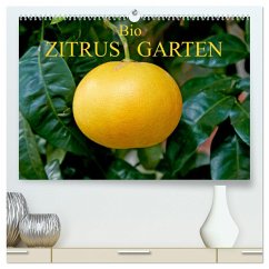Bio Zitrus Garten (hochwertiger Premium Wandkalender 2024 DIN A2 quer), Kunstdruck in Hochglanz