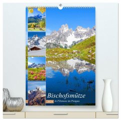 Bischofsmütze (hochwertiger Premium Wandkalender 2024 DIN A2 hoch), Kunstdruck in Hochglanz