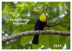Farbenfrohe Vogelwelt (Wandkalender 2024 DIN A2 quer), CALVENDO Monatskalender