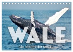 Wale - Die Riesen der Meere. (Tischkalender 2024 DIN A5 quer), CALVENDO Monatskalender - SF