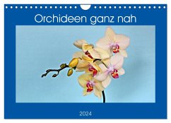 Orchideen ganz nah (Wandkalender 2024 DIN A4 quer), CALVENDO Monatskalender