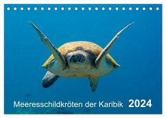 Meeresschildkröten der Karibik (Tischkalender 2024 DIN A5 quer), CALVENDO Monatskalender