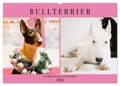 Bullterrier. Freudiges Wesen und Charakter (Wandkalender 2024 DIN A2 quer), CALVENDO Monatskalender