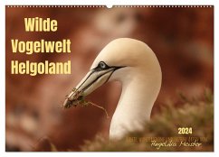 Wilde Vogelwelt Helgoland (Wandkalender 2024 DIN A2 quer), CALVENDO Monatskalender