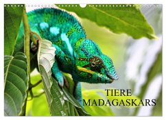 Tiere Madagaskars (Wandkalender 2024 DIN A3 quer), CALVENDO Monatskalender