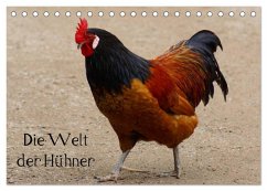 Die Welt der Hühner (Tischkalender 2024 DIN A5 quer), CALVENDO Monatskalender