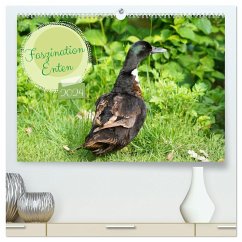 Faszination Enten (hochwertiger Premium Wandkalender 2024 DIN A2 quer), Kunstdruck in Hochglanz