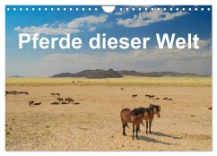 Pferde dieser Welt (Wandkalender 2024 DIN A4 quer), CALVENDO Monatskalender - Wöhlke, Jürgen