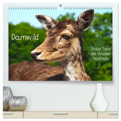 Damwild - stolze Tiere des Waldes hautnah (hochwertiger Premium Wandkalender 2024 DIN A2 quer), Kunstdruck in Hochglanz
