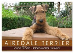 Airedale Terrier (Tischkalender 2024 DIN A5 quer), CALVENDO Monatskalender