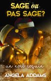 Un Noël Coquin (eBook, ePUB)