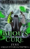 Bijou's Cure: Zeke (Strygoi Witches & Vampires, #4) (eBook, ePUB)