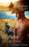 Un cattivo cowboy (eBook, ePUB)