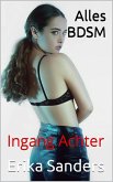 Alles BDSM. Ingang Achter (eBook, ePUB)