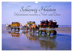 Schleswig-Holstein, Urlaubsland zwischen Nord- und Ostsee (Wandkalender 2024 DIN A3 quer), CALVENDO Monatskalender