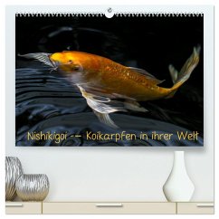 Nishikigoi ¿ Koikarpfen in ihrer Welt (hochwertiger Premium Wandkalender 2024 DIN A2 quer), Kunstdruck in Hochglanz - Renken, Erwin