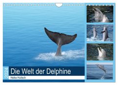 Die Welt der Delphine (Wandkalender 2024 DIN A4 quer), CALVENDO Monatskalender