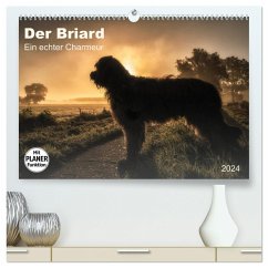 Der Briard 2024 - Ein echter Charmeur (hochwertiger Premium Wandkalender 2024 DIN A2 quer), Kunstdruck in Hochglanz - Teßen, Sonja