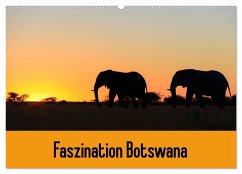 Faszination Botswana (Wandkalender 2024 DIN A2 quer), CALVENDO Monatskalender
