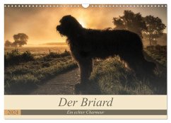 Der Briard 2024 - Ein echter Charmeur (Wandkalender 2024 DIN A3 quer), CALVENDO Monatskalender