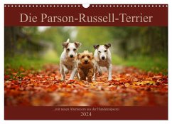 Die Parson-Russell-Terrier ...mit neuen Abenteuern aus der Hundeknipserei (Wandkalender 2024 DIN A3 quer), CALVENDO Monatskalender
