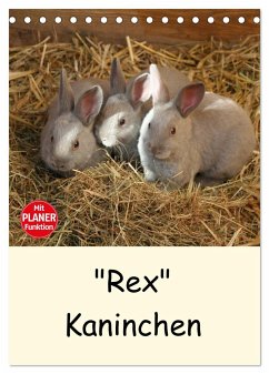 "Rex" Kaninchen (Tischkalender 2024 DIN A5 hoch), CALVENDO Monatskalender