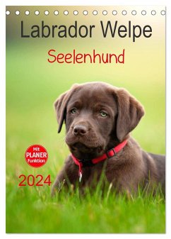 Labrador Welpe - Seelenhund (Tischkalender 2024 DIN A5 hoch), CALVENDO Monatskalender - Schiller, Petra