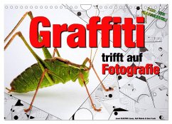 Graffiti trifft auf Fotografie (Wandkalender 2024 DIN A4 quer), CALVENDO Monatskalender - KEASTWO Jones, Ralf Wehrle und Uwe Frank, Jonni