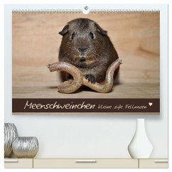 Meerschweinchen - Kleine süße Fellnasen (hochwertiger Premium Wandkalender 2024 DIN A2 quer), Kunstdruck in Hochglanz - Fischer, Petra