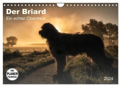 Der Briard 2024 - Ein echter Charmeur (Wandkalender 2024 DIN A4 quer), CALVENDO Monatskalender