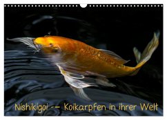 Nishikigoi ¿ Koikarpfen in ihrer Welt (Wandkalender 2024 DIN A3 quer), CALVENDO Monatskalender