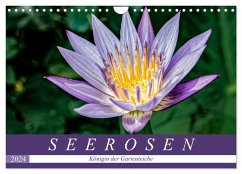 Seerosen - Königin der Gartenteiche (Wandkalender 2024 DIN A4 quer), CALVENDO Monatskalender