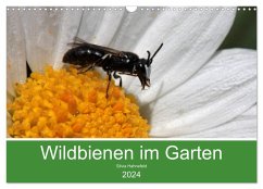 Wildbienen im Garten (Wandkalender 2024 DIN A3 quer), CALVENDO Monatskalender
