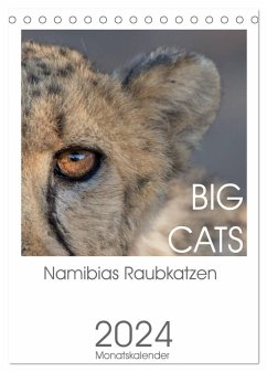 BIG CATS - Namibias Raubkatzen (Tischkalender 2024 DIN A5 hoch), CALVENDO Monatskalender