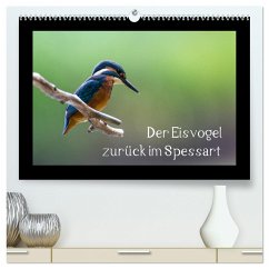 Der Eisvogel zurück im Spessart (hochwertiger Premium Wandkalender 2024 DIN A2 quer), Kunstdruck in Hochglanz - Reibert, Björn