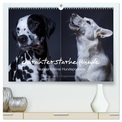 charakterstarke Hunde, wunderschöne Hundeportraits (hochwertiger Premium Wandkalender 2024 DIN A2 quer), Kunstdruck in Hochglanz - Stark Sugarsweet - Photo, Susanne