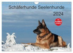 Schäferhunde Seelenhunde (Wandkalender 2024 DIN A4 quer), CALVENDO Monatskalender - Schiller, Petra