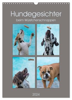 Hundegesichter beim Würstchenschnappen (Wandkalender 2024 DIN A3 hoch), CALVENDO Monatskalender - Teßen, Sonja