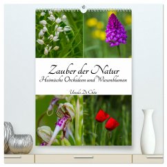Zauber der Natur - Heimische Orchideen und Wiesenblumen (hochwertiger Premium Wandkalender 2024 DIN A2 hoch), Kunstdruck in Hochglanz - Di Chito, Ursula