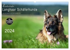 Zauberhafte Langhaar Schäferhunde (Wandkalender 2024 DIN A2 quer), CALVENDO Monatskalender