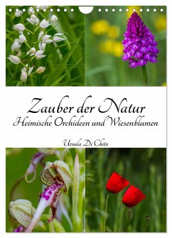 Zauber der Natur - Heimische Orchideen und Wiesenblumen (Wandkalender 2024 DIN A4 hoch), CALVENDO Monatskalender