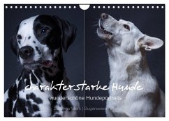 charakterstarke Hunde, wunderschöne Hundeportraits (Wandkalender 2024 DIN A4 quer), CALVENDO Monatskalender - Stark Sugarsweet - Photo, Susanne