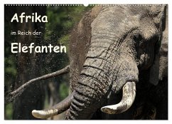 Afrika - im Reich der Elefanten (Wandkalender 2024 DIN A2 quer), CALVENDO Monatskalender