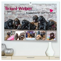 Briard-Welpen - Knuddelbären zum Verlieben (hochwertiger Premium Wandkalender 2024 DIN A2 quer), Kunstdruck in Hochglanz - Teßen, Sonja