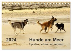 Hunde am Meer - Spielen, toben und rennen (Tischkalender 2024 DIN A5 quer), CALVENDO Monatskalender