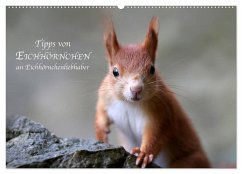 Tipps von Eichhörnchen an Eichhörnchenliebhaber (Wandkalender 2024 DIN A2 quer), CALVENDO Monatskalender