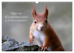 Tipps von Eichhörnchen an Eichhörnchenliebhaber (Wandkalender 2024 DIN A3 quer), CALVENDO Monatskalender - Cerny, Birgit
